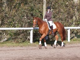 IMG_7766_web